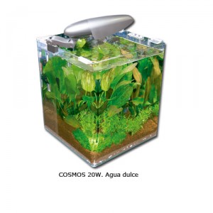 AQUARI BOX CUBELL COSMOS